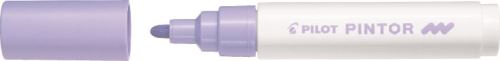 Pilot Pintor Medium
