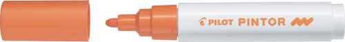 Pilot Pintor Medium