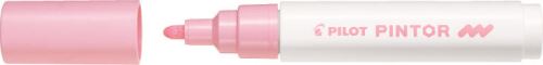 Pilot Pintor Medium