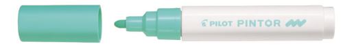Pilot Pintor Medium