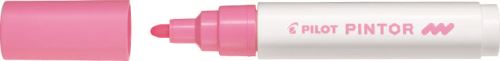 Pilot Pintor Medium